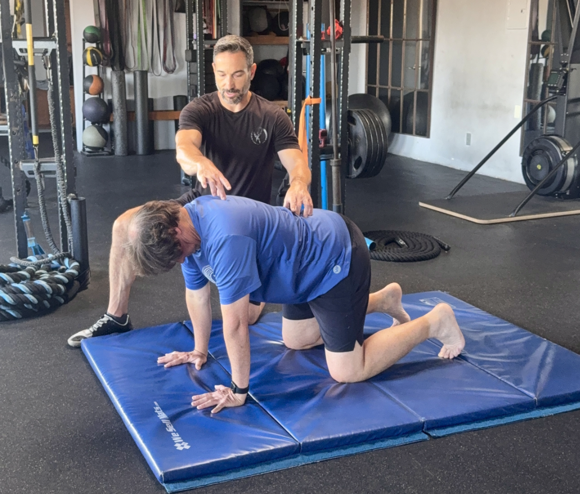 Hybrid Fitness Training Santa Monica, California