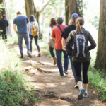 people Interval Walking in the forest