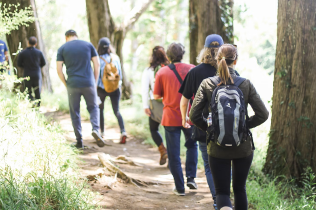 people Interval Walking in the forest