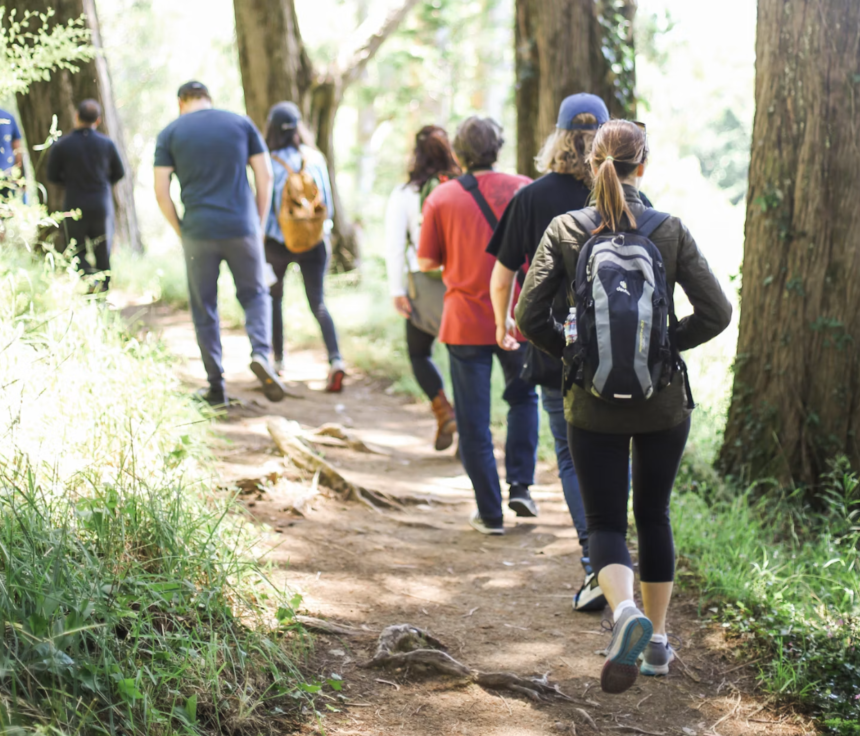 people Interval Walking in the forest