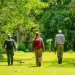 Adults walking together outdoors, reflecting the moderate activity studied alongside genetic risk for type 2 diabetes