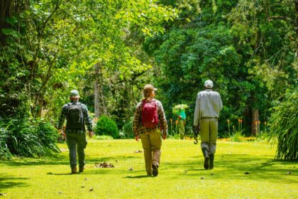 Adults walking together outdoors, reflecting the moderate activity studied alongside genetic risk for type 2 diabetes