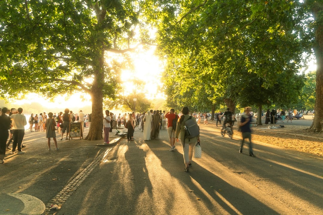 A group walking a tree-lined path, the kind of everyday exercise participation counted in national surveys