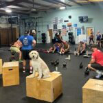 Members training together on the main floor at Lodestar Fitness in Lexington, South Carolina