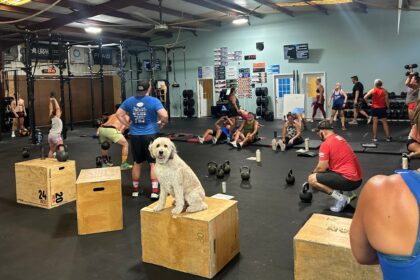 Members training together on the main floor at Lodestar Fitness in Lexington, South Carolina