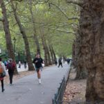 Adults walking and running on a tree-lined park path in coverage of exercise and inflammatory biomarkers