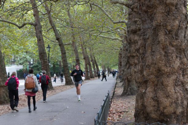 Adults walking and running on a tree-lined park path in coverage of exercise and inflammatory biomarkers