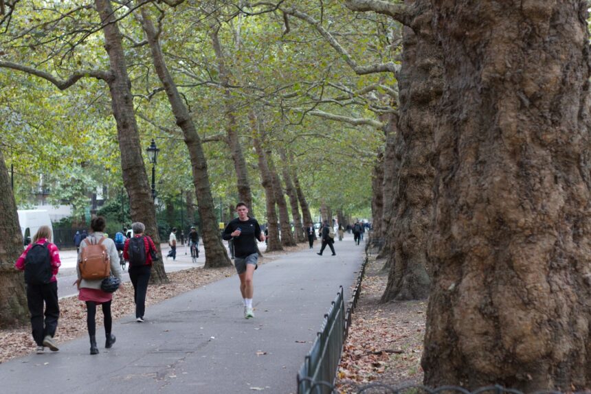 Adults walking and running on a tree-lined park path in coverage of exercise and inflammatory biomarkers