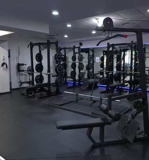 Racks, benches, and barbells inside The Lifting Legacy in Seattle