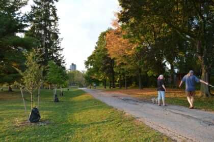 Resident walking an urban park trail, illustrating exercise access close to home