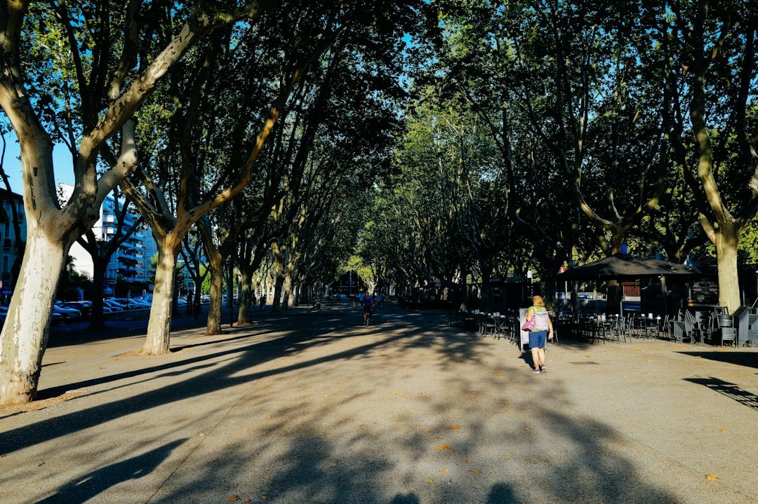 A person walking a tree-lined path, one form of leisure-time activity reported in long-running cohorts