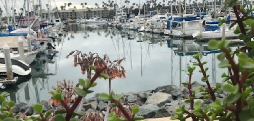 Channel Islands Harbor boardwalk near Pilates Influence in Oxnard California