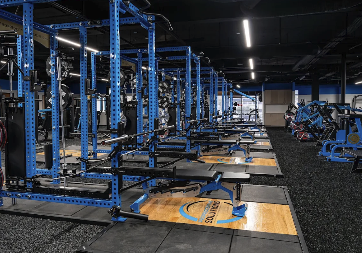 Clinical care and supervised training inside Proprioceptive Solutions movement hospital